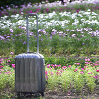 キャリーケースレンタルで新幹線でもＯＫなアイテムとは？